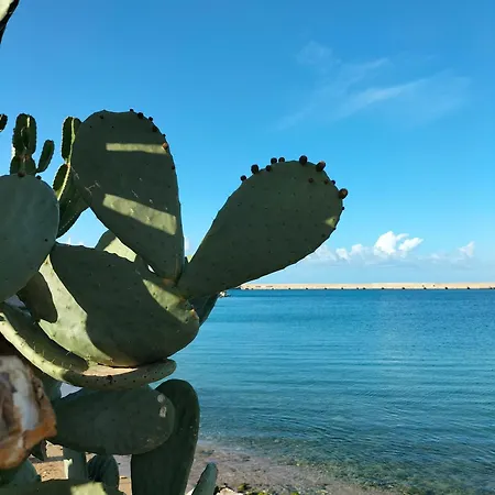 Tatil Evi La Loggia 34 *